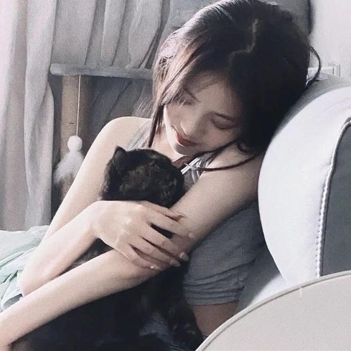 泰山王子